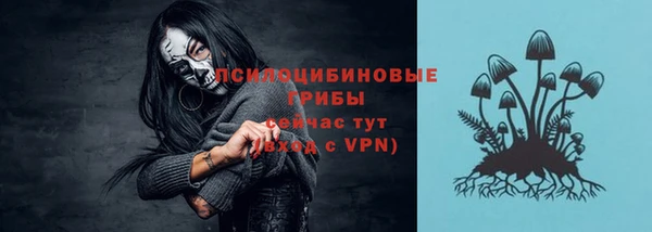 сатива Баксан