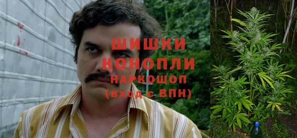 сатива Баксан