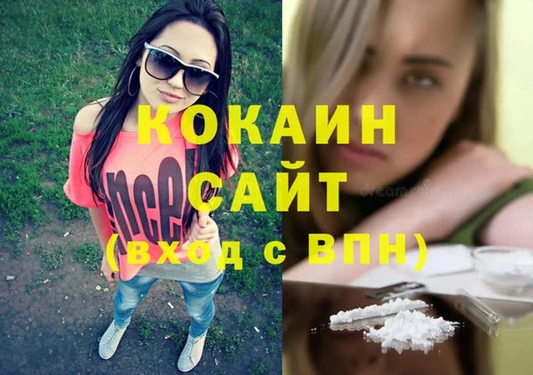 сатива Баксан