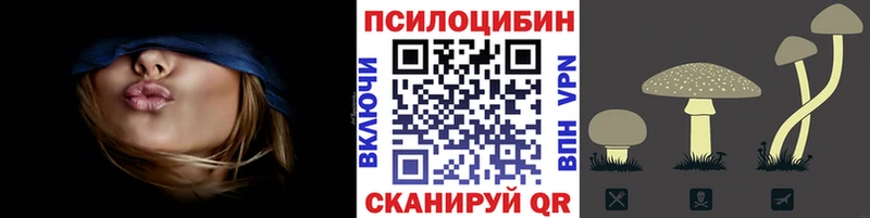 blacksprut зеркало даркнет сайт Кировск Галлюциногенные грибы Psilocybe